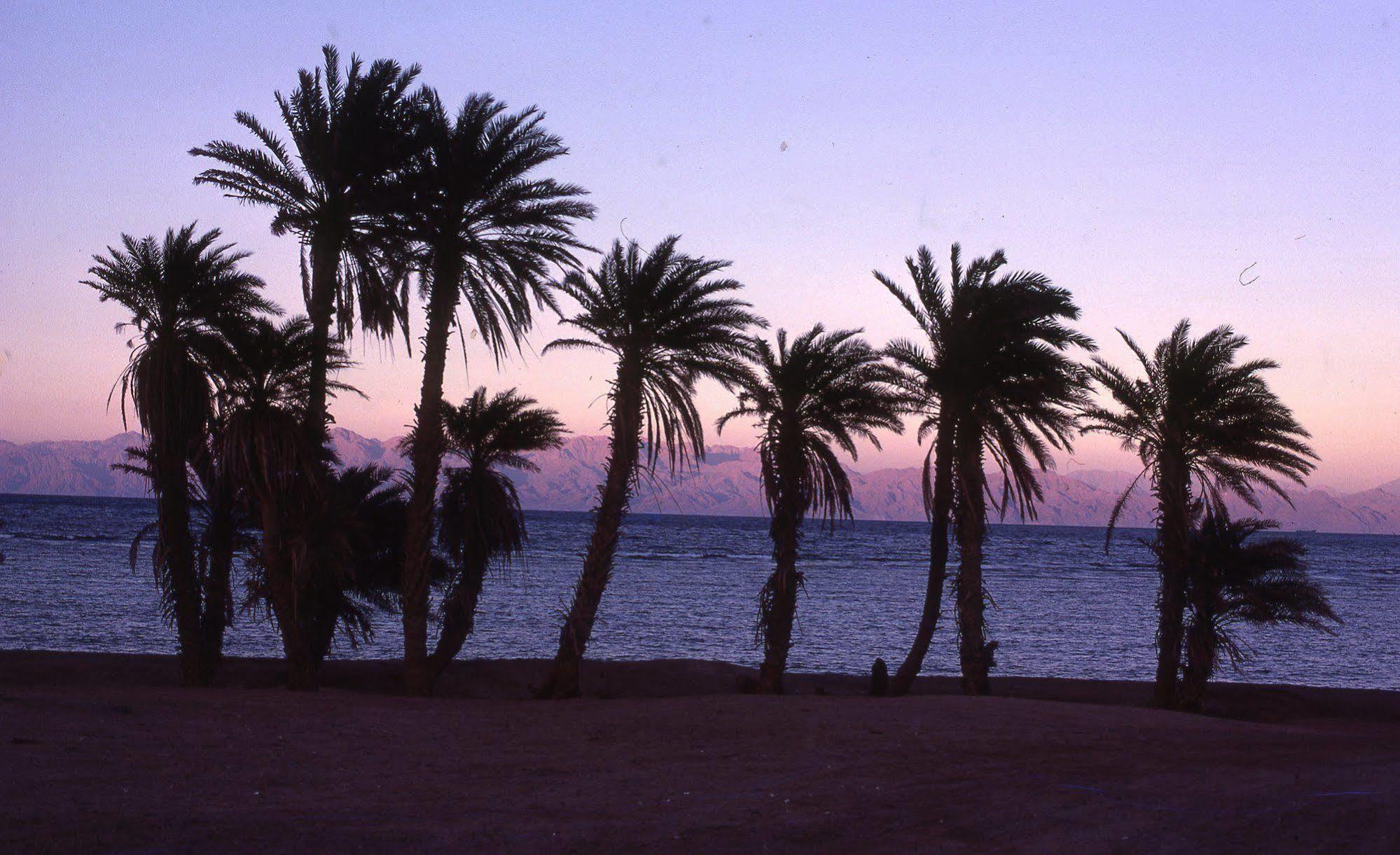 Star Of Dahab Hotel Exterior photo